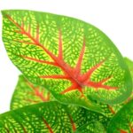Plante à feuilles tropicales artificielle en plastique pour balcon_6